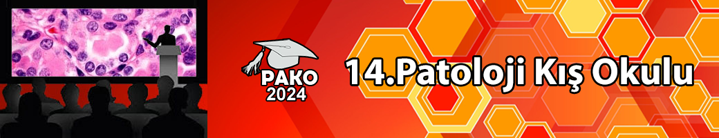 PAKO 2024